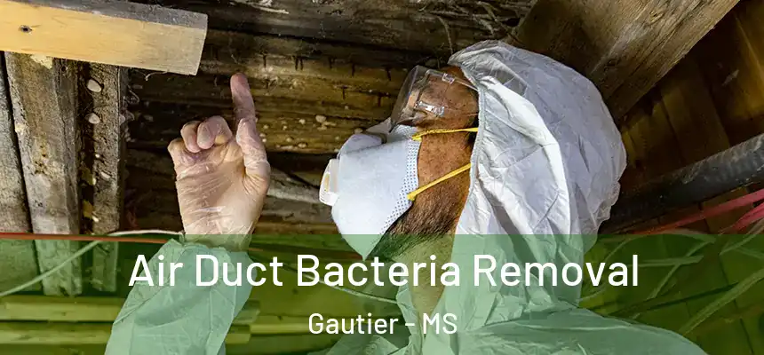  Air Duct Bacteria Removal Gautier - MS