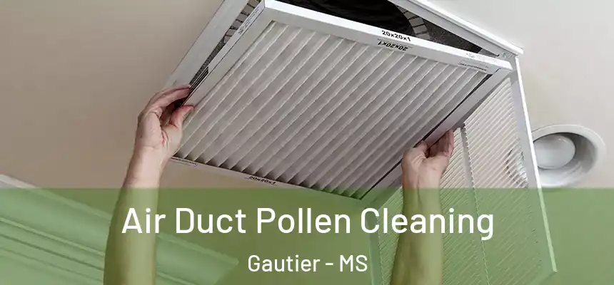  Air Duct Pollen Cleaning Gautier - MS