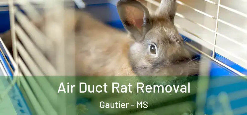  Air Duct Rat Removal Gautier - MS