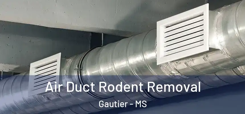  Air Duct Rodent Removal Gautier - MS