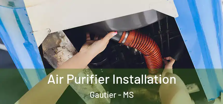  Air Purifier Installation Gautier - MS