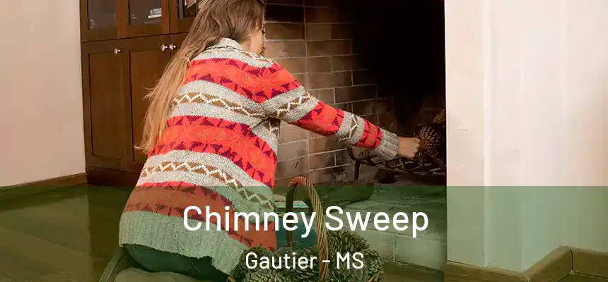  Chimney Sweep Gautier - MS