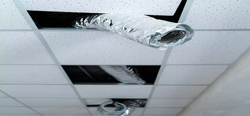 Affordable HVAC Sanitizing After Pest Removal in Gautier