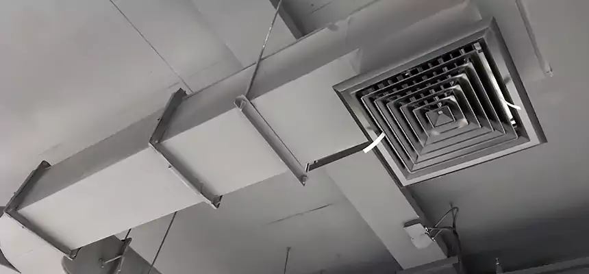 Restorative Allergy Relief Vent Cleaning – Coil, Blower & Housing Detail in Gautier