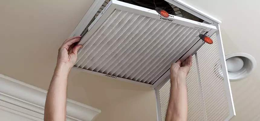 Our Insect Removal from Air Ducts Services in Gautier, MS