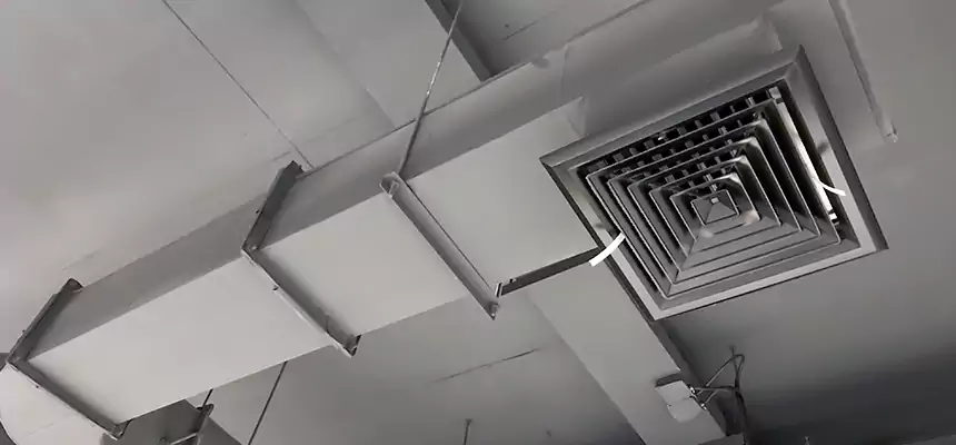 Our Pest Removal From Ducts Services in Gautier, MS