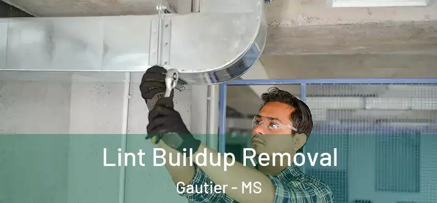  Lint Buildup Removal Gautier - MS