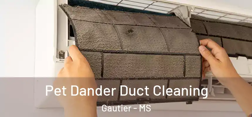  Pet Dander Duct Cleaning Gautier - MS