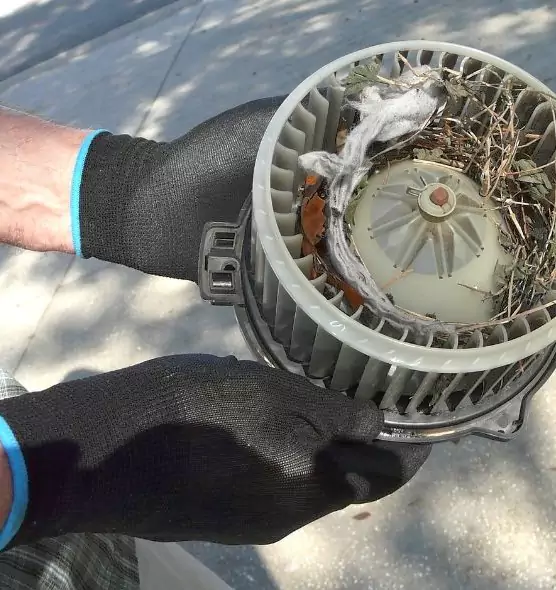 About Air Duct Mice Removal in Gautier, MS