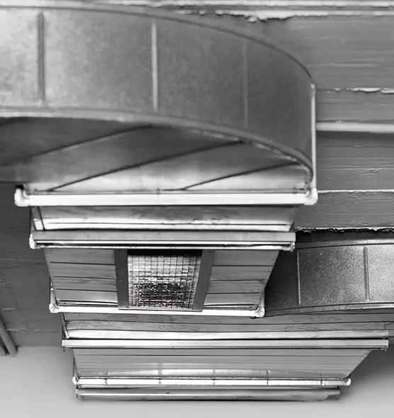 Professional Air Duct Pet Hair Removal in Gautier, MS