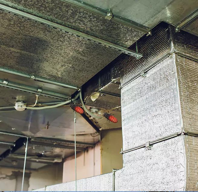 Why Homeowners & Businesses Trust Us Gautier, MS?